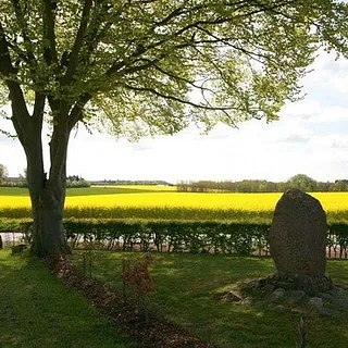 Baum und Menhir vor gelbem Feld.